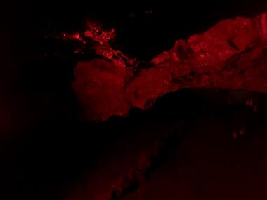 gallery-images/2020/Red.jpg