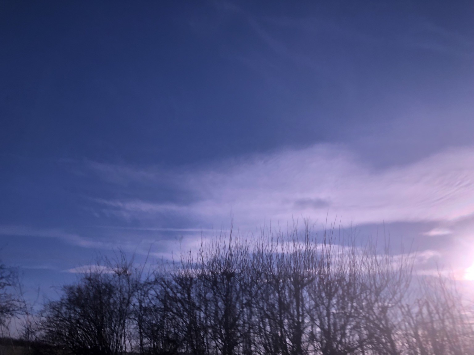 gallery-images/Blue.jpg