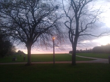 a sideways view of a path with a single concrete sodium vapour lamp visible with 2 trees on each side of the lamp